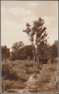 On Epsom Common, Surrey, 1935 - Judges RP Postcard - Surrey