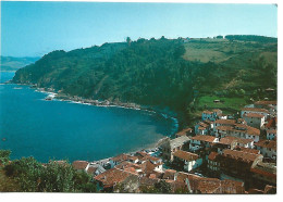 VISTA PARCIAL / PARTIAL VIEW.- TAZONES (VILLAVICIOSA) -  ASTURIAS .- ( ESPAÑA) - Asturias (Oviedo)