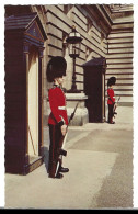 Royaume Uni   Londres -  London -  Irish  Guards On Sentry  Duty At  Buckingham Palace - Buckingham Palace