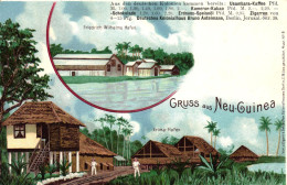 Dt. Kolonien, Farb-Litho "Gruss Aus Neu-Guinea", Um 1900/05 - Ehemalige Dt. Kolonien