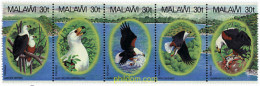 181098 MNH MALAWI 1983 AVES - Malawi (1964-...)