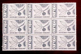 France   Bloc De 9 Timbres  N** YT N° 1456 EUROPA - Feuilles Complètes