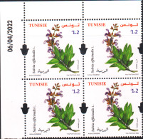 2022- Tunisie- Plantes De Tunisie: Salvia Officinalis. L - Bloc De 4 Coin Dté - 4 V ---  MNH****** - Plantes Médicinales