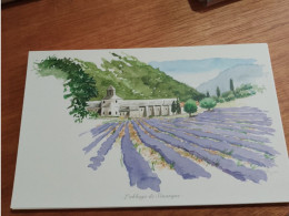 145 //  Reproduction Aquarelle 28 X 17 CMS / OFFERT PAR EDITIONS ATLAS / L'ABBAYE DE SENANQUE - Wasserfarben