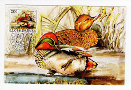 1989. YUGOSLAVIA,SERBIA,BELGRADE,FDC,MC,MAXIMUM CARD,PROTECTED SPECIES,DUCK,BIRDS - Tarjetas – Máxima