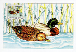 1989. YUGOSLAVIA,SERBIA,BELGRADE,FDC,MC,MAXIMUM CARD,PROTECTED SPECIES,DUCK,BIRDS - Tarjetas – Máxima