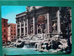 FONTANA DI TREVI - Fontana Di Trevi