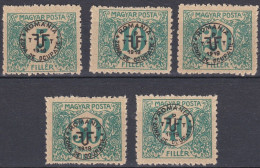 Hongrie Debreczen Occupation Taxe 1920 N° 13-17 Mi 17-21 *   (J30) - Debreczin