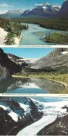 6 Cartes Postales: ALBERTA: Bow Lake And Bow Glacier, Athabasca Glacier, Jasper-Banff, Mount Edith Cavell, Tangle Falls. - Sonstige & Ohne Zuordnung