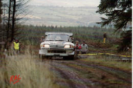 Peugeot 205 T16 -  Salonen/Harjanne - Rally RAC 1986 - CPM - Rally