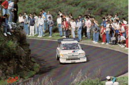Peugeot 205 T16 -  Saby/Fauchille - Rally Corse 1986 - CPM - Rally Racing