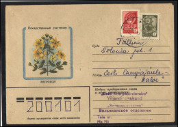 RUSSIA USSR Stationery USED ESTONIA AMBL 1271 VILJANDI Flora Plants Herbs Saint-John's-wort - Non Classificati