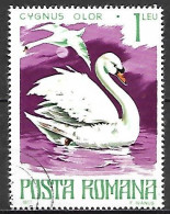 ROUMANIE      -     OISEAU    /    CYGNE    -    Oblitéré - Cisnes