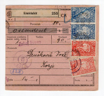 1919 . GERMANY,KRANICHFELD TO KINGDOM OF SHS,SLOVENIA,PARCEL CARD TO KOZJE,VERIGARI,CHAIN BREAKERS - Brieven En Documenten