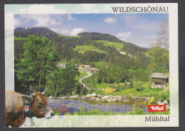 107742/ WILDSCHÖNAU - Wildschönau