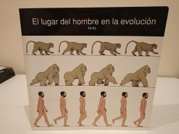 El Lugar Del Hombre En La Evolución. Akal. Natural History Museum. 1994. 102 Páginas. - Craft, Manual Arts