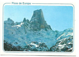 " PICU URRIELLU ".- NARANJO DE BULNES.-  PICOS DE EUROPA.- ASTURIAS.- ( ESPAÑA). - Asturias (Oviedo)