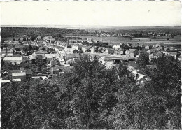 Hotton-sur-Ourthe - Panorama - Hotton