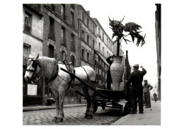 20641  ROBERT DOISNEAU Photographe La Plante En Pot 1952 Collection Magie Noire ( Cheval)    ( 2 Scans) - Doisneau