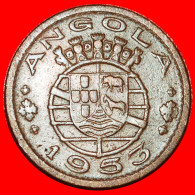 * ELEPHANT (1953-1961) PORTUGAL: ANGOLA  50 CENTAVOS 1953 ERROR!· LOW START ·  NO RESERVE! - Angola