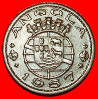 * ELEPHANT (1953-1961) PORTUGAL: ANGOLA  50 CENTAVOS 1957 ERROR! · LOW START ·  NO RESERVE! - Angola