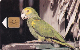 BONAIRE - Yellow-shouldered Parrot, Used - Altri – America