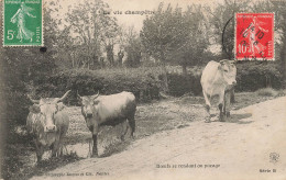 Agriculture * La Vie Champêtre * Boeufs Se Rendant Au Pacage * Abreuvoir - Andere & Zonder Classificatie