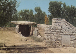 CARTOLINA  BISCEGLIE,BARLETTA,PUGLIA-IL DOLMEN-STORIA,MEMORIA,CULTURA,RELIGIONE,IMPERO ROMANO-BELLA ITALIA,NON VIAGGIATA - Barletta