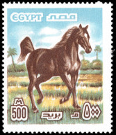 Egypt 1978 500m Arab Horse Matt Gum Unmounted Mint. - Unused Stamps