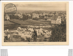 Carte BAD SODEN A. TAUNUS ( Troupeau De Moutons / Berger ) - Bad Soden