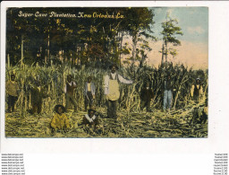 Carte De NEW ORLEANS LA. Sugar Cane ( Plantation De Cannes à Sucre ) - New Orleans