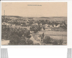 Carte De CHATEAU SALINS   ( Recto Verso ) - Chateau Salins