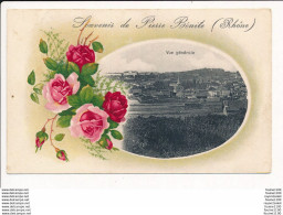 Carte Souvenir De PIERRE BENITE - Pierre Benite