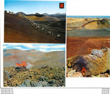 LOT De 9 Cartes De LANZAROTE ( Format 15 X 10,5 Cm ) - Lanzarote