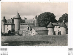 Carte De VIRIEU SUR BOURBRE Le Château ( Format C.P.A. )( Recto Verso ) - Virieu