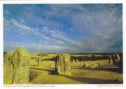 AK 185954 AUSTRALIA - Pinnacles Im Nambung National Park - Altri & Non Classificati