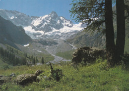 (D-ST361) - LA FOULY (Orsieres, Vallese) - Val Ferret, Le Tour Noir Et Le Glacier De La Neuvaz - Orsières