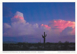 AK 185996 USA - Arizona - Sonnenuntergang In Der Sonora Wüste - Autres & Non Classés