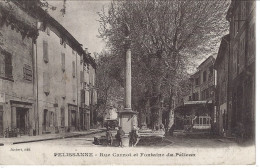 CPA13- PELISSANNE- Rue Carnot Et Fontaine Du Pélican - Pelissanne