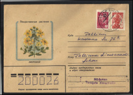 RUSSIA USSR Stationery USED ESTONIA AMBL 1272 MARJAMAA Flora Plants Herbs Saint-John's-wort - Unclassified