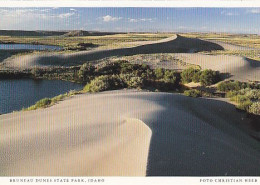 AK 186025 USA - Idaho - Bruneau Dunes State Park - Andere & Zonder Classificatie