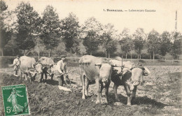 Damazan * Laboureurs Gascon * Attelage De Boeufs * Agriculture Agricole - Damazan