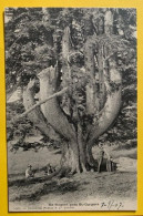 19742 - Un Gogant Près De  Saint-Cergues - Saint-Cergue