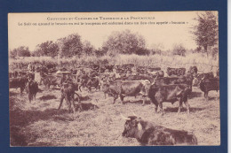 CPA Région Provence Taureaux Non Circulée éditeur Bernheim Nimes - Languedoc-Roussillon