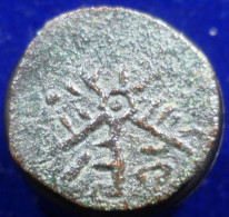 Sicilia - Messina -  ½ Follaro - Ruggero II Re Di Sicilia (1105-1154) - Sicilia