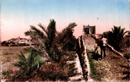 UN PUITS AU M'ZAB - Ghardaïa