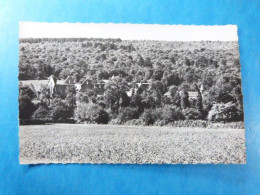 Abbaye De Boquen En Plenee-Jugon Vue Generale "Bienheureuse Solitude " D22 Abdij Ruines - Plénée-Jugon