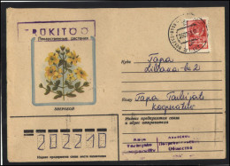 RUSSIA USSR Stationery USED ESTONIA AMBL 1274 ABJA-PALUOJA Flora Plants Herbs Saint-John's-wort - Ohne Zuordnung