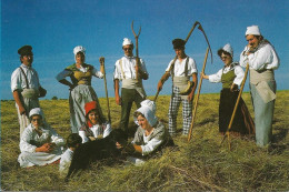 Groupe Folklorique LE GAUDE Neuve - Allouville-Bellefosse