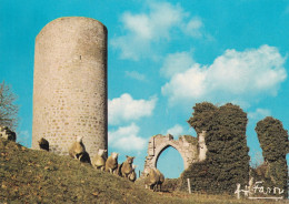 87 Chalus Ruines De L'Eglise Romane Et Le Donjon Du Château Chabrol - Chalus